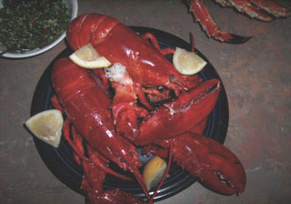 shopping santa barbara lobster