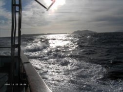 Ocean Cruises Whale Watching Santa Barbara